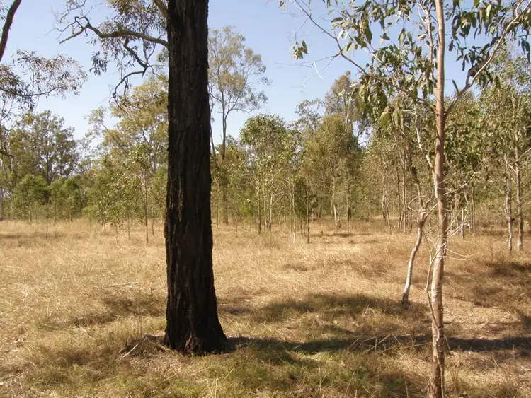 Seventh view of Homely rural property listing, 108 Scotchy Pocket Road, Scotchy Pocket QLD 4570
