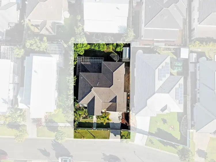 Sixth view of Homely house listing, 14 Dennis Vale Drive, Daisy Hill QLD 4127