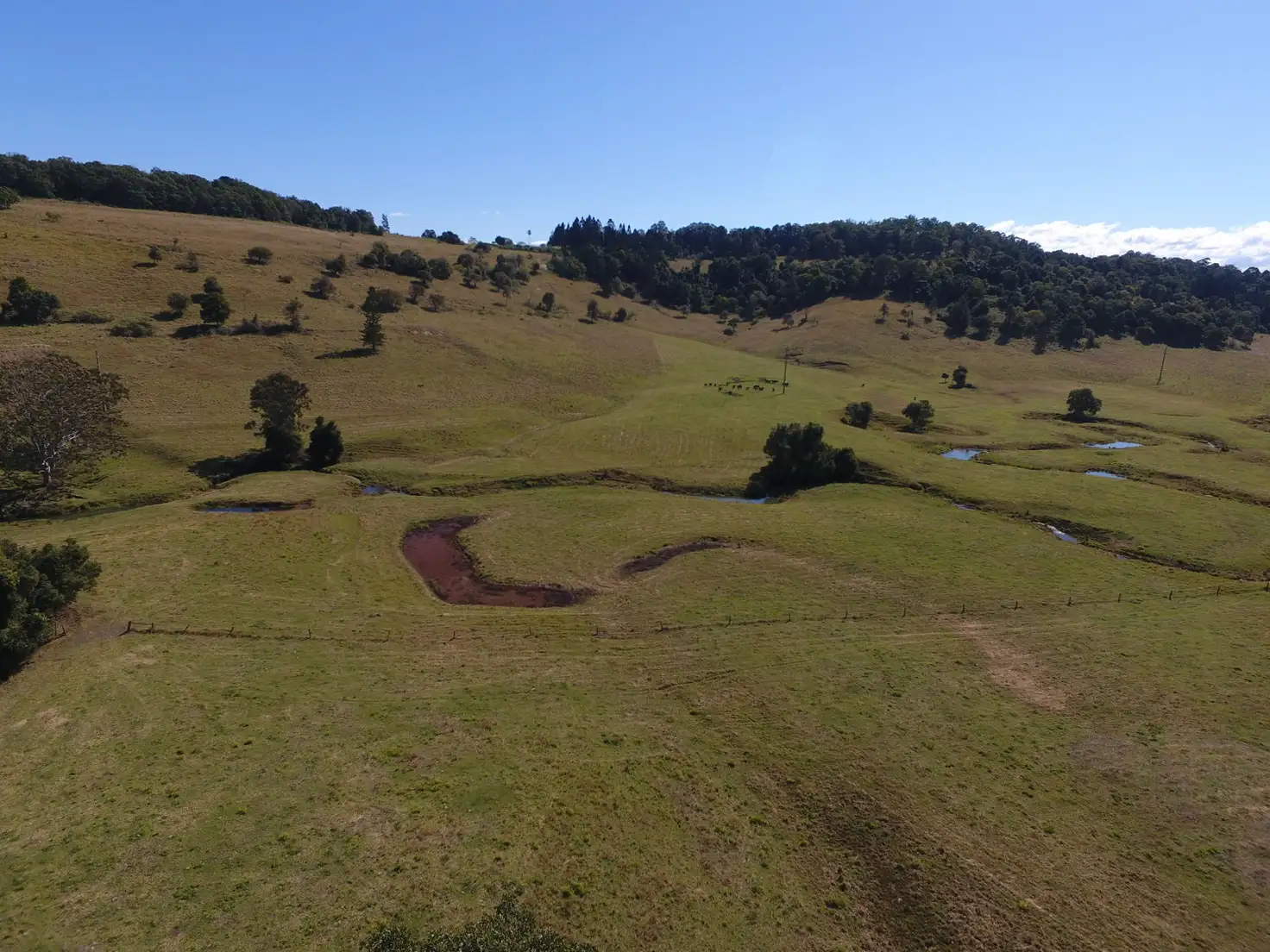 Main view of Homely rural property listing, 92 Hewitt Road Booerie Creek via, Lismore NSW 2480
