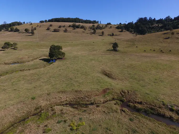 Fifth view of Homely rural property listing, 92 Hewitt Road Booerie Creek via, Lismore NSW 2480