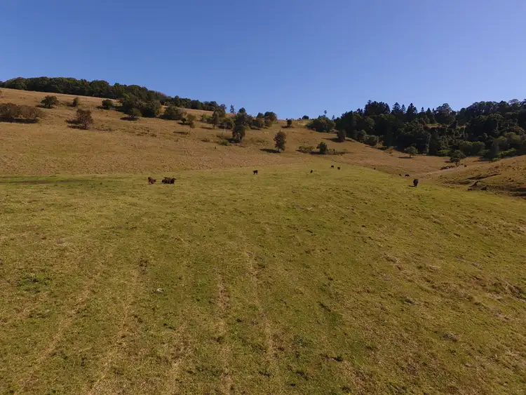 Sixth view of Homely rural property listing, 92 Hewitt Road Booerie Creek via, Lismore NSW 2480