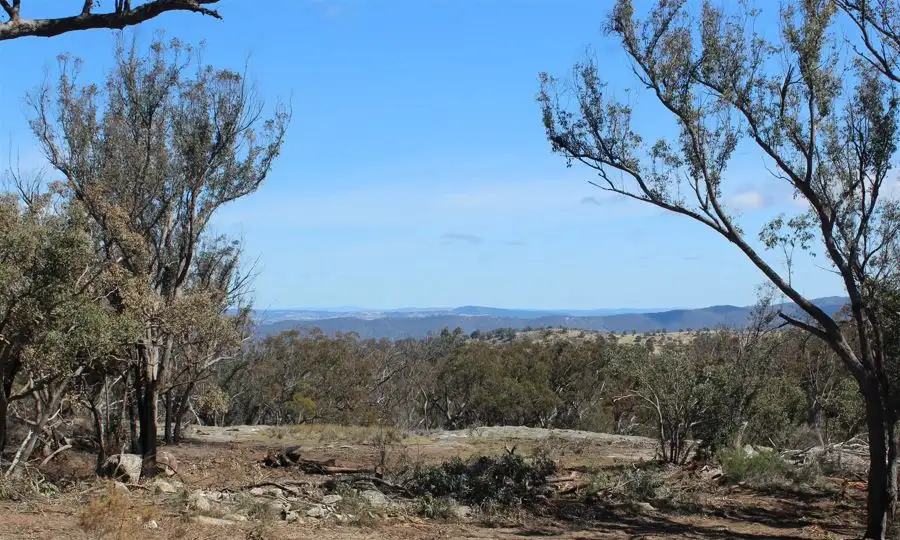 Main view of Homely rural property listing, 1332 Mount McKenzie Road, Tenterfield NSW 2372