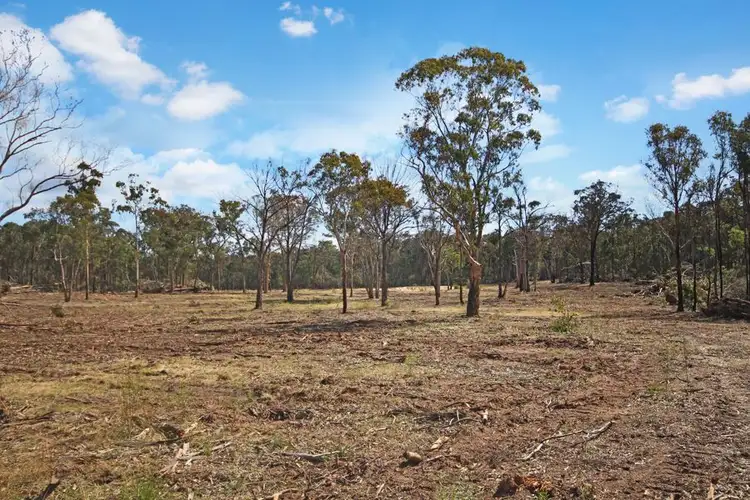 Second view of Homely rural property listing, 1332 Mount McKenzie Road, Tenterfield NSW 2372