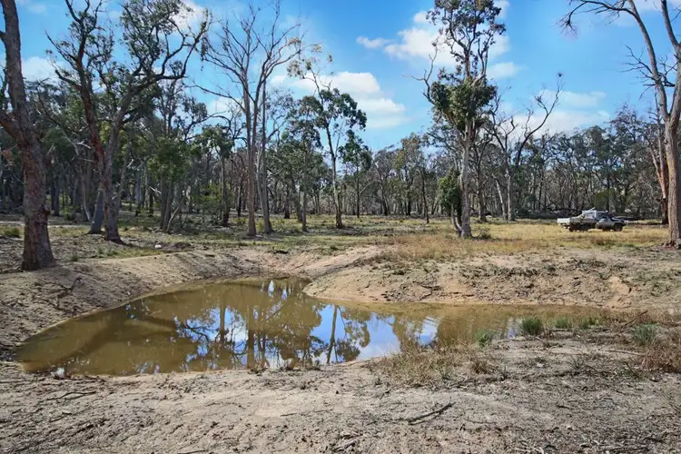 Third view of Homely rural property listing, 1332 Mount McKenzie Road, Tenterfield NSW 2372