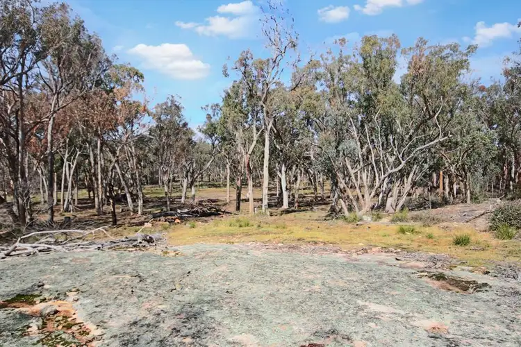 Fifth view of Homely rural property listing, 1332 Mount McKenzie Road, Tenterfield NSW 2372