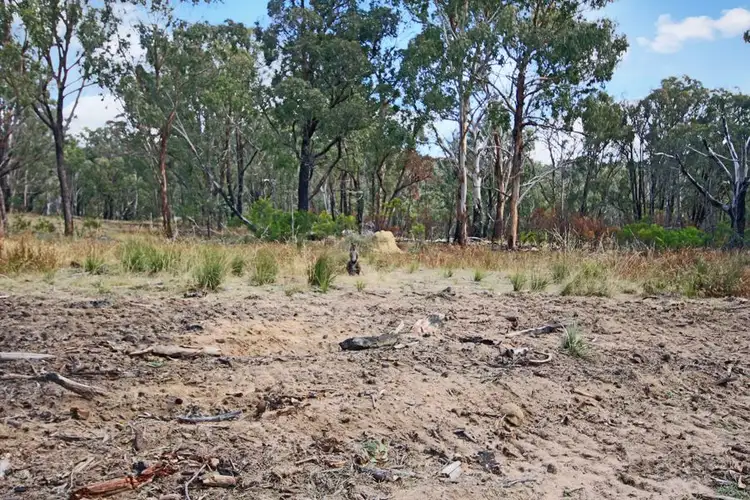Sixth view of Homely rural property listing, 1332 Mount McKenzie Road, Tenterfield NSW 2372