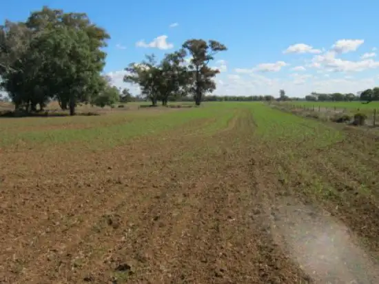 "Crinolyn", Moree NSW 2400