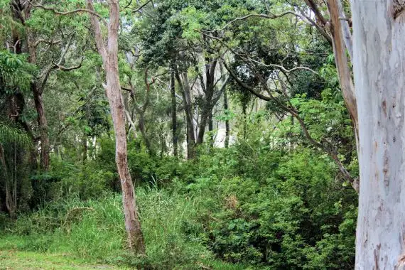 Fifth view of Homely land listing, 32 Lakeview Ave, Safety Beach NSW 2456