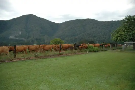 Seventh view of Homely rural property listing, Address available on request