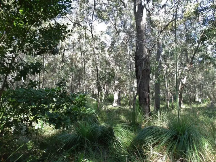 Fourth view of Homely rural property listing, Lot 4 Deepwater Road, Deepwater QLD 4674
