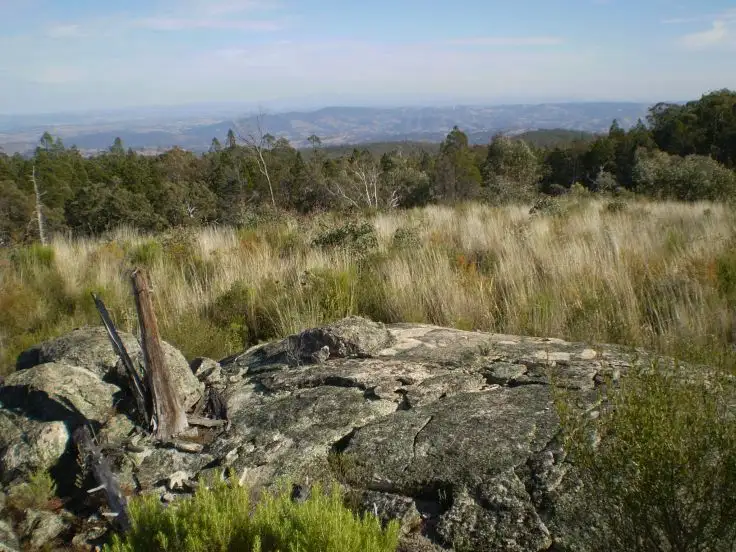 Fourth view of Homely rural property listing, THISTLE CROFT - Barraba, Tamworth NSW 2340