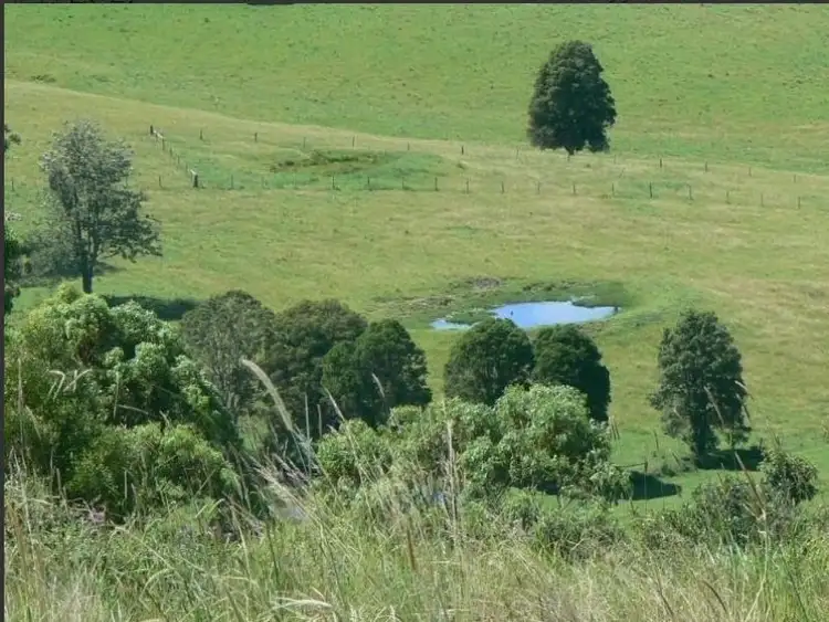 Sixth view of Homely rural property listing, 189 Saxbys Lane, Kundibakh NSW 2429