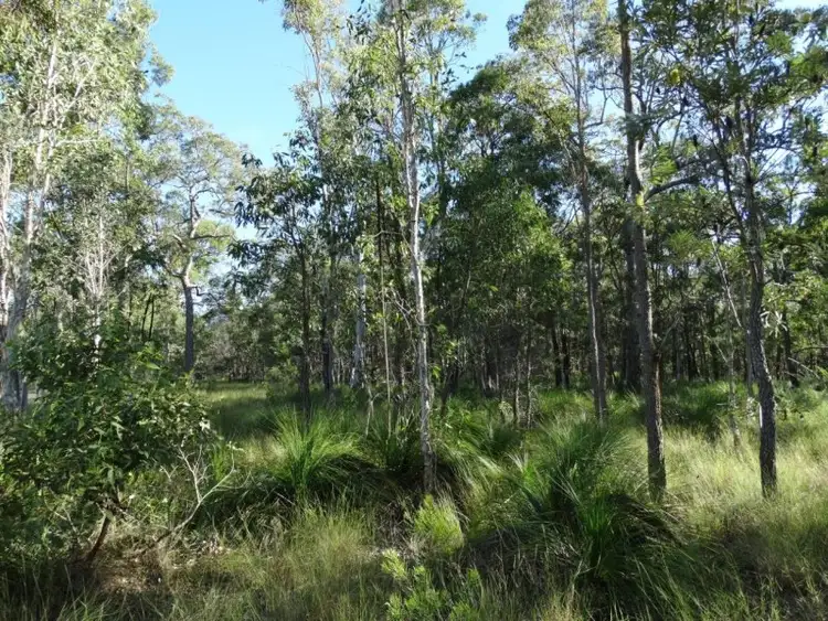 Seventh view of Homely rural property listing, 806 Capricornia Drive, Deepwater QLD 4674