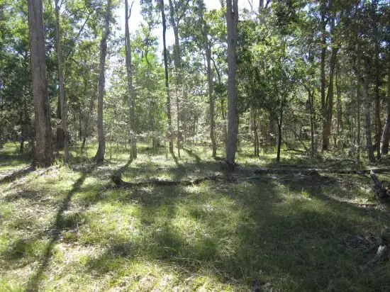 Fifth view of Homely rural property listing, Lot 112 Old Tenterfield Rd, Rappville NSW 2469