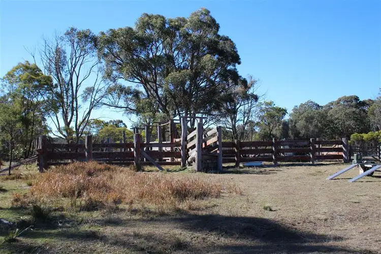 Fifth view of Homely rural property listing, 1331a Mount Mackenzie Road, Tenterfield NSW 2372