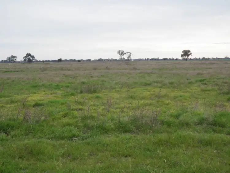 Second view of Homely rural property listing, 1101 Reynolds Road, Tallygaroopna VIC 3634