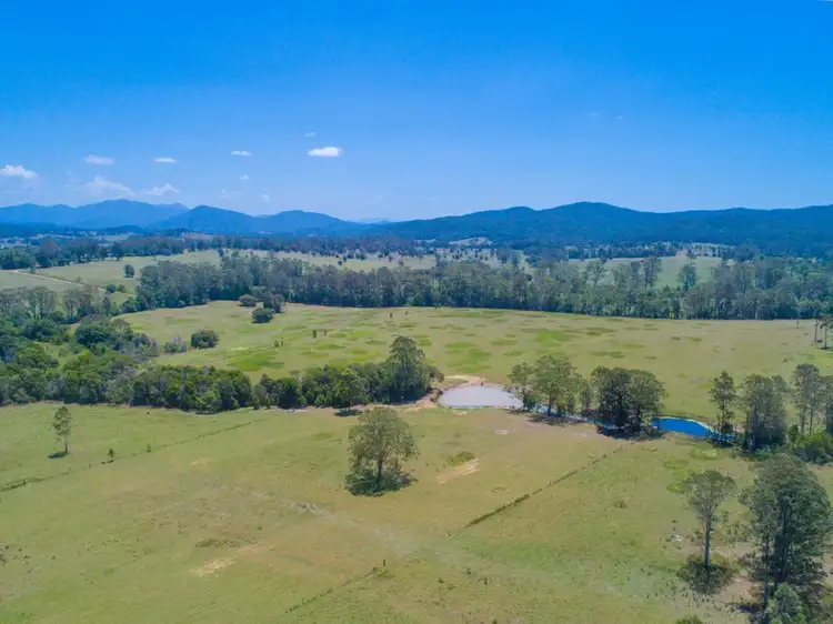 Third view of Homely rural property listing, 813 Ballengarra Bransdon Road, Ballengarra NSW 2441