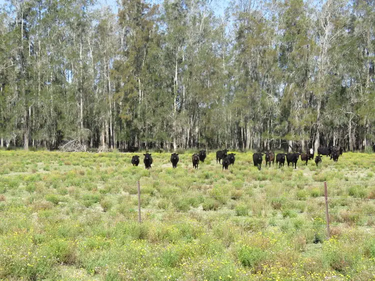 Third view of Homely rural property listing, Lot 27 Dalhunty Island, Port Macquarie NSW 2444