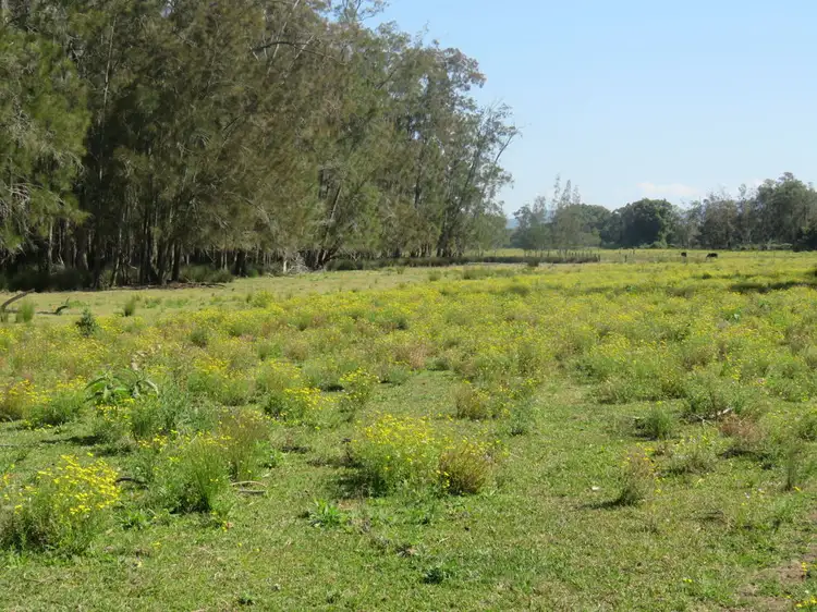 Sixth view of Homely rural property listing, Lot 27 Dalhunty Island, Port Macquarie NSW 2444