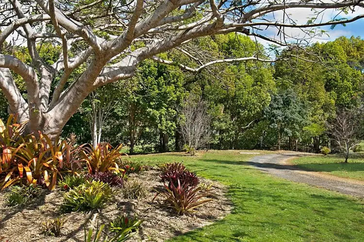 Third view of Homely rural property listing, 367 Cobaki Road, Cobaki NSW 2486