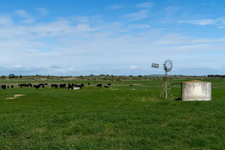 Second view of Homely rural property listing, 205 South Cundare Road, Beeac VIC 3251