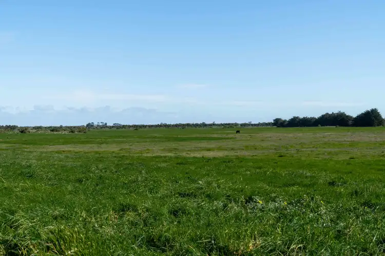 Fourth view of Homely rural property listing, 205 South Cundare Road, Beeac VIC 3251