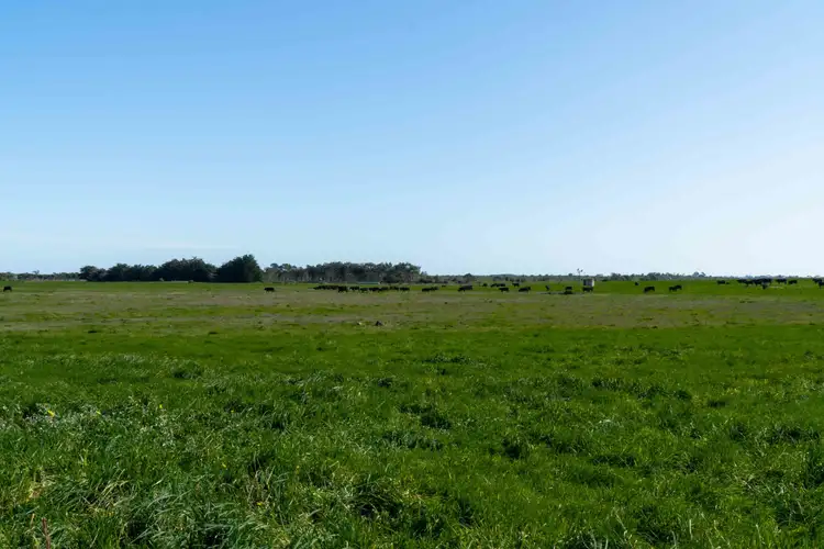 Fifth view of Homely rural property listing, 205 South Cundare Road, Beeac VIC 3251