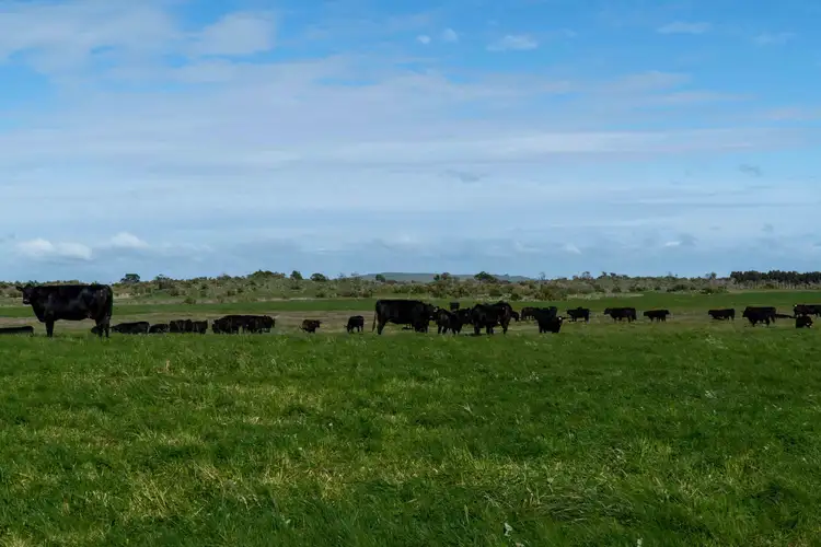 Sixth view of Homely rural property listing, 205 South Cundare Road, Beeac VIC 3251