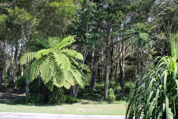 Sixth view of Homely house listing, 137 Rosewood Drive, Valla Beach NSW 2448