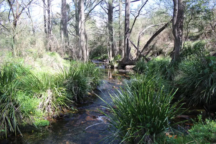 Main view of Homely rural property listing, 40 MacLeods Creek Road, Tenterfield NSW 2372