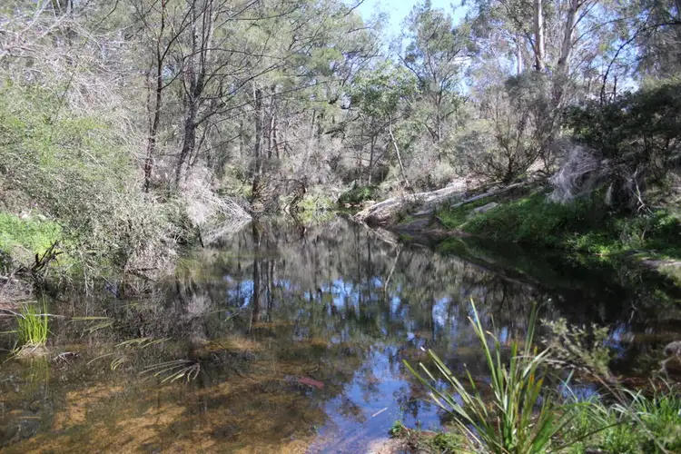 Third view of Homely rural property listing, 40 MacLeods Creek Road, Tenterfield NSW 2372