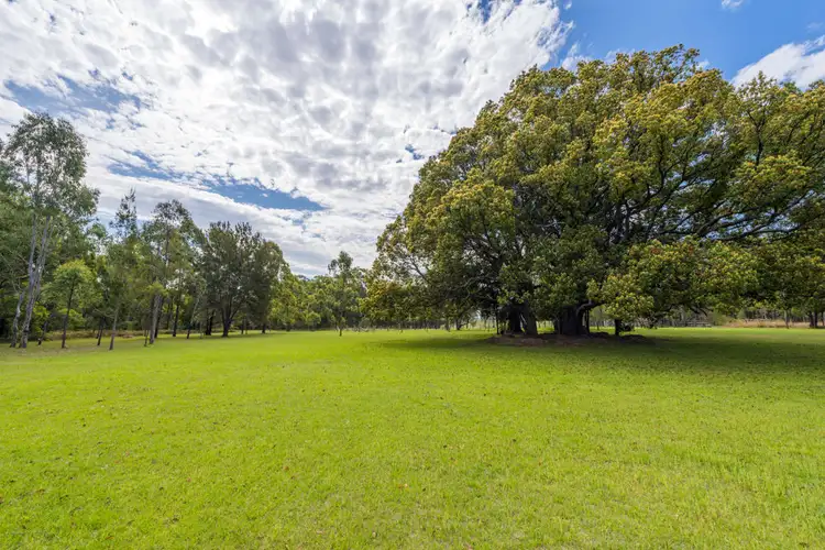 Second view of Homely house listing, 528 Wooli Road, Pillar Valley NSW 2462
