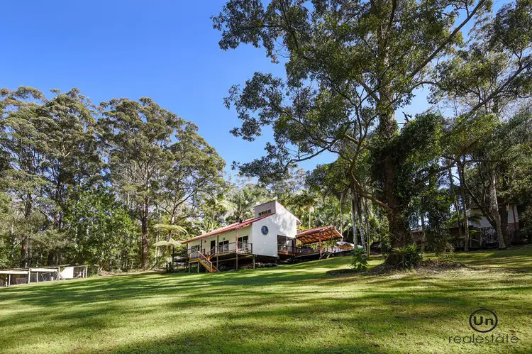 14 Cabbage Tree Close, Repton NSW 2454