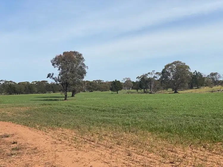 Seventh view of Homely rural property listing, Lot 2 Hartman Road, Monarto SA 5254
