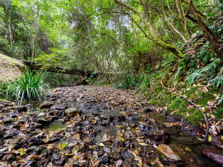 Second view of Homely rural property listing, 69 McGraths Road, Bellingen NSW 2454