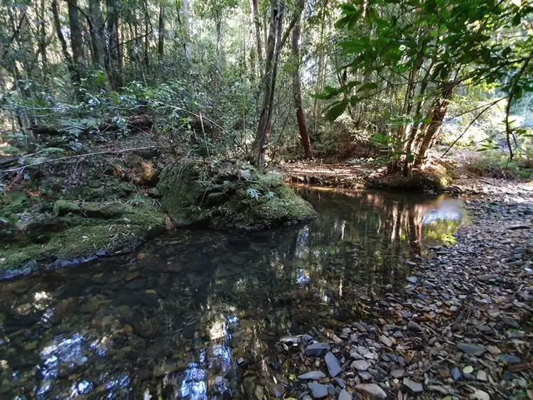 Second view of Homely rural property listing, Lot 102 Eve Creek Rd, Brooklana NSW 2450