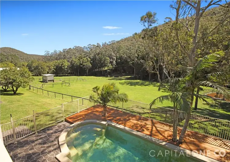 Fourth view of Homely rural property listing, 68 Macadamia Lane, Wyong Creek NSW 2259