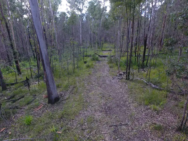 Sixth view of Homely rural property listing, Lots 122 & 123 Cypress Road, New Italy NSW 2472