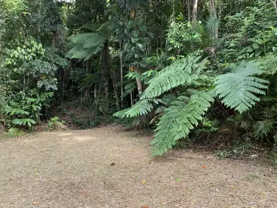Main view of Homely land listing, 16 Jago Street, Babinda QLD 4861