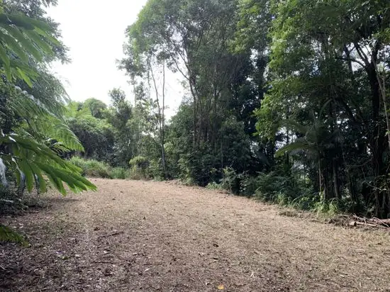 Fourth view of Homely land listing, 16 Jago Street, Babinda QLD 4861
