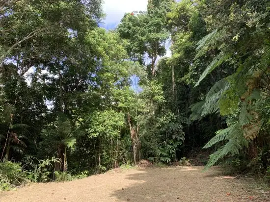 Sixth view of Homely land listing, 16 Jago Street, Babinda QLD 4861