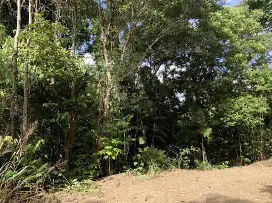 Seventh view of Homely land listing, 16 Jago Street, Babinda QLD 4861