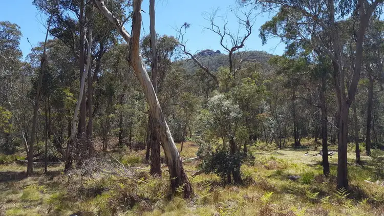 Second view of Homely rural property listing, 996 Mount Mitchell Road, Backwater NSW 2365