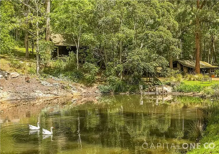 Fourth view of Homely rural property listing, 316 Pringles Road, Martinsville NSW 2265