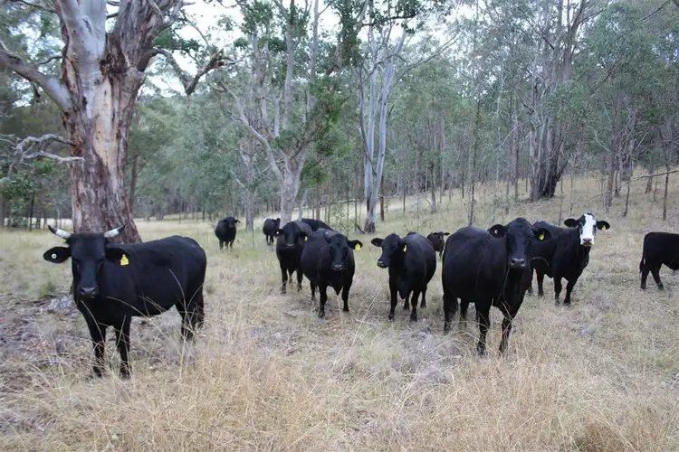 Second view of Homely rural property listing, 1465 Billirimba Road, Tenterfield NSW 2372