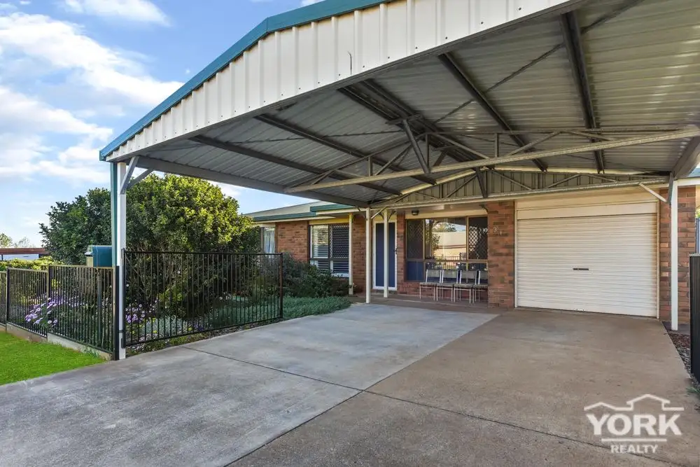 Main view of Homely house listing, 31 Halsworth Street, Cranley QLD 4350