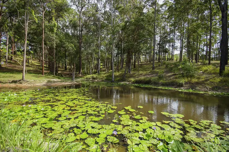 Second view of Homely house listing, 17 Park Avenue, Woolgoolga NSW 2456