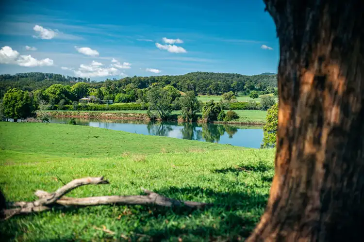 Second view of Homely land listing, 700 North Bank Road, Bellingen NSW 2454