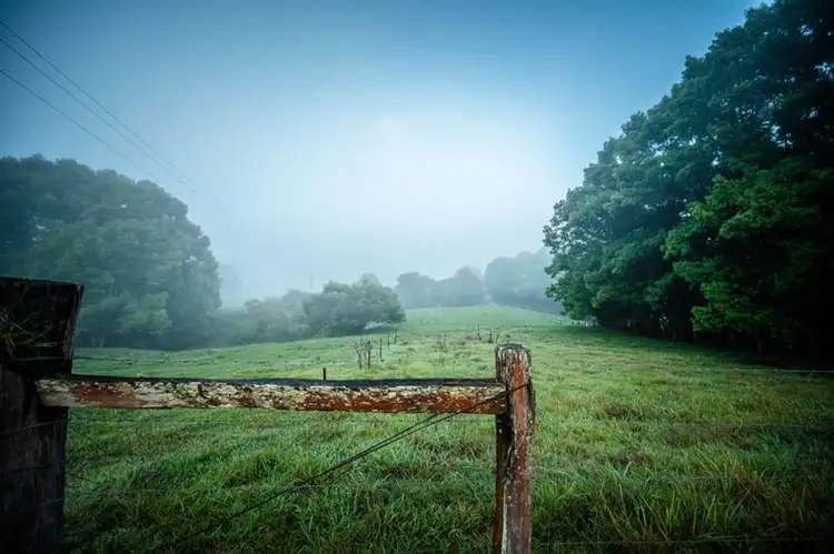 Fifth view of Homely land listing, 700 North Bank Road, Bellingen NSW 2454