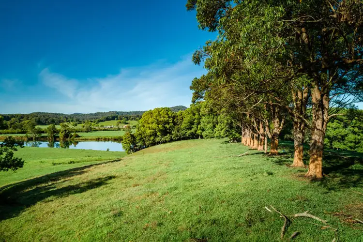 Sixth view of Homely land listing, 700 North Bank Road, Bellingen NSW 2454